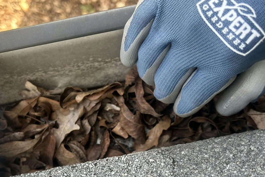 Gutter Cleaning Westlake TX